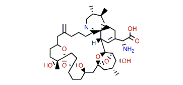 Pinnatoxin B    (PnTX B